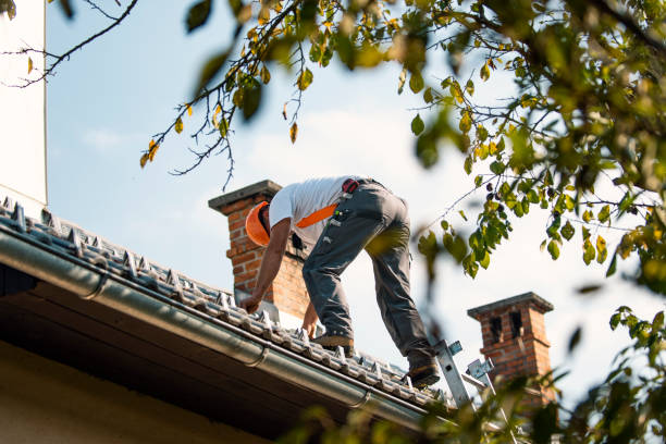 Best Storm Damage Roof Repair  in Lake In The Hls, IL