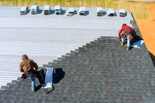 Best Roof Restoration Services  in Lake In The Hls, IL