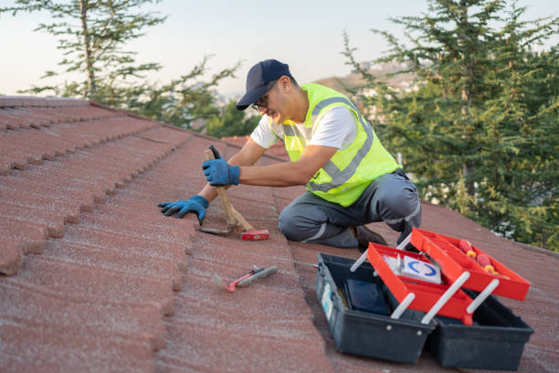 Professional Roofing Contractor in Lake In The Hills, IL