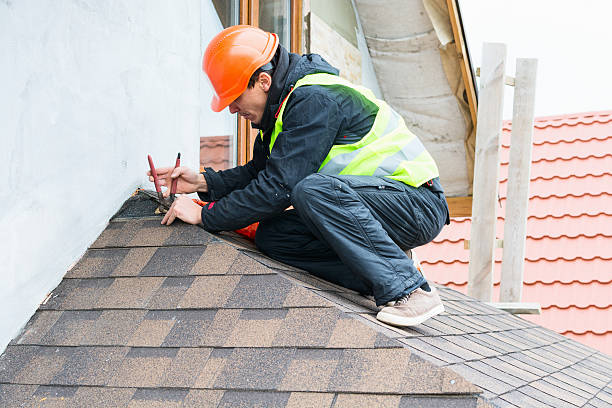Best Commercial Roofing Services  in Lake In The Hls, IL