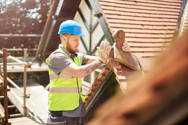 Best Roof Maintenance Services  in Lake In The Hls, IL